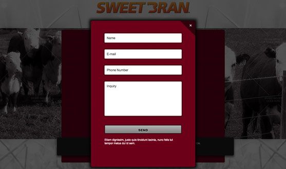 Cargill SWEETBRAN Customer Portal - 5